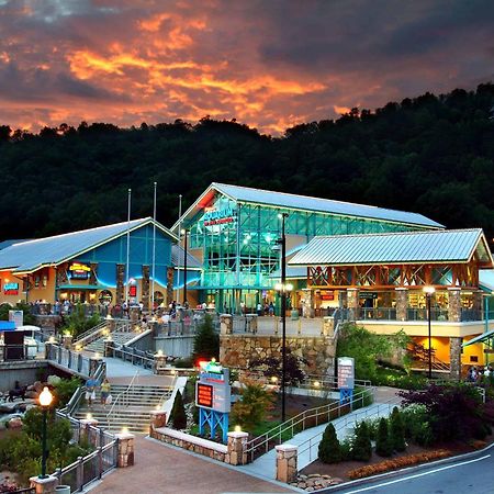 The Solstice - Amenities Galore Mountain Retreat Gatlinburg Exterior foto